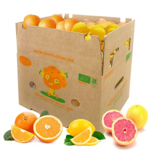 15 kg d'oranges, pamplemousses et citrons